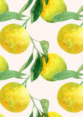 Fruit Art No. 16