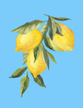 Fruit Art No. 49