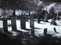 Halloween No. 09