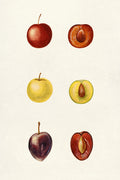 Kitchen No. 65