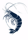 Animal No. 110
