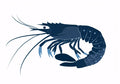 Animal No. 111
