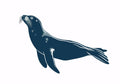 Animal No. 114