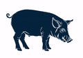 Animal No. 128