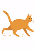 Animal No. 164