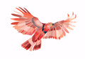 Animal No. 174