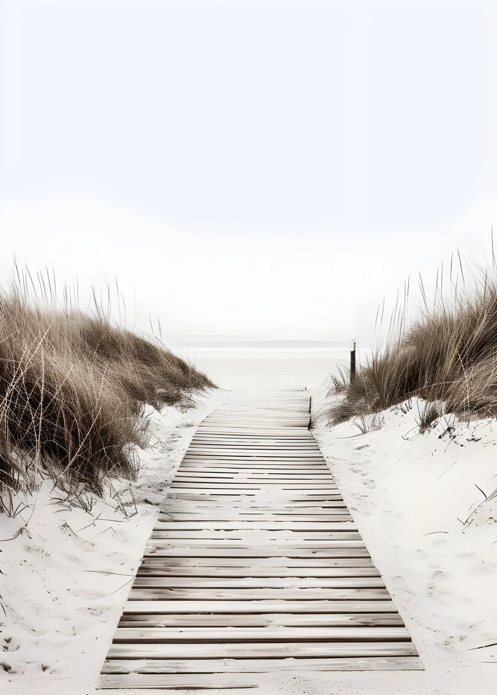 Beach No. 198