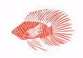 Animal No. 198