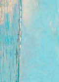 Beach No. 201