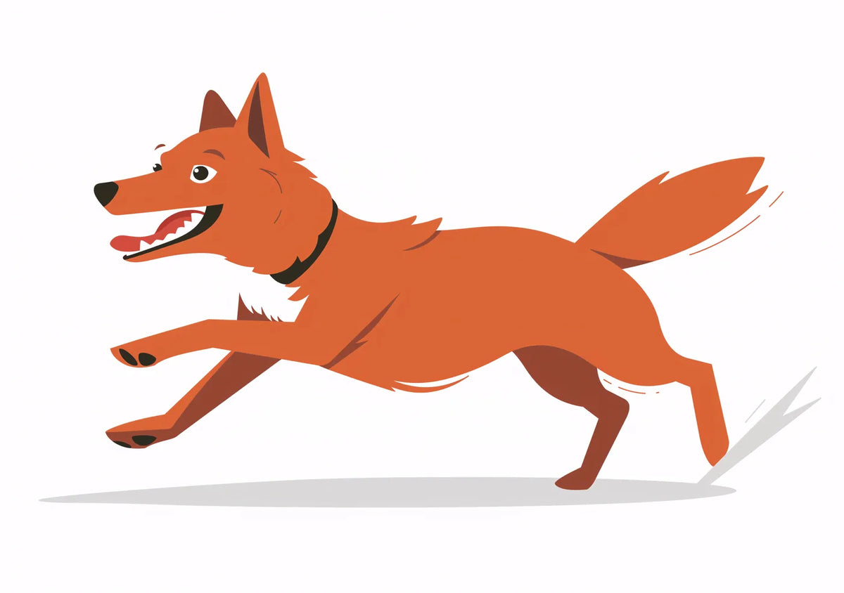 Animal No. 211
