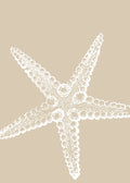 Beach No. 229