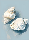 Beach No. 244
