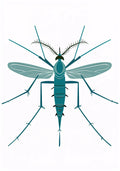 Animal No. 245