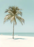 Beach No. 249