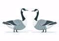 Animal No. 252