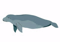 Animal No. 257
