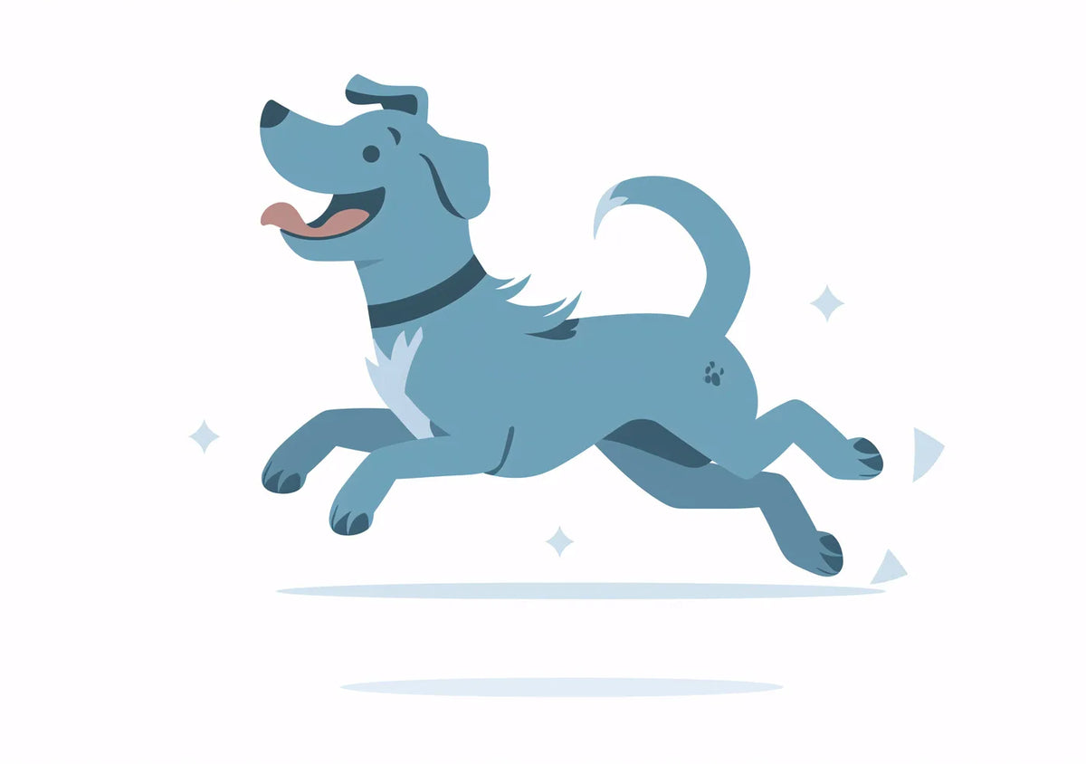 Animal No. 260
