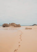 Beach No. 269