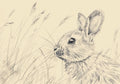 Animal No. 295