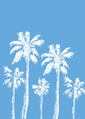 Beach No. 299