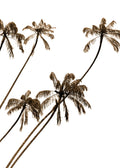 Beach No. 300