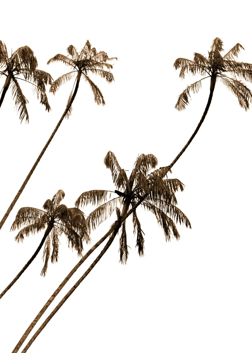 Beach No. 300