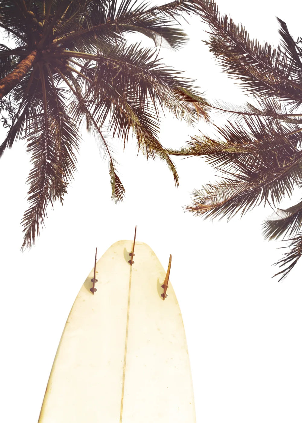 Beach No. 311