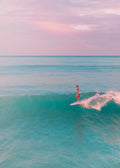Beach No. 312