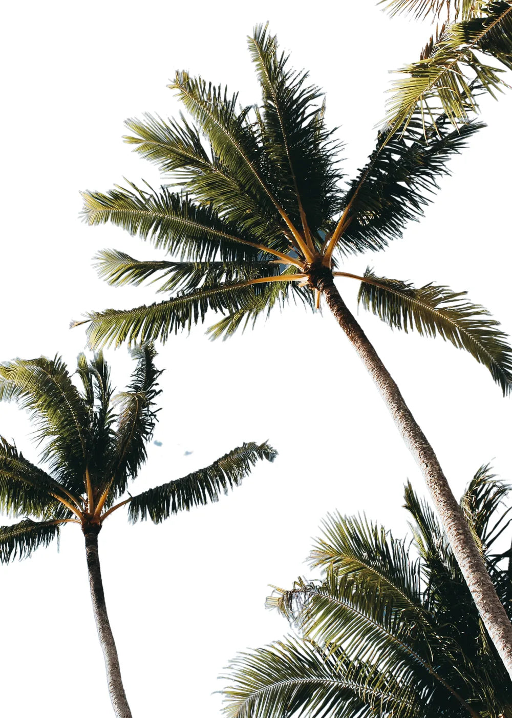 Beach No. 317