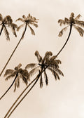 Beach No. 320