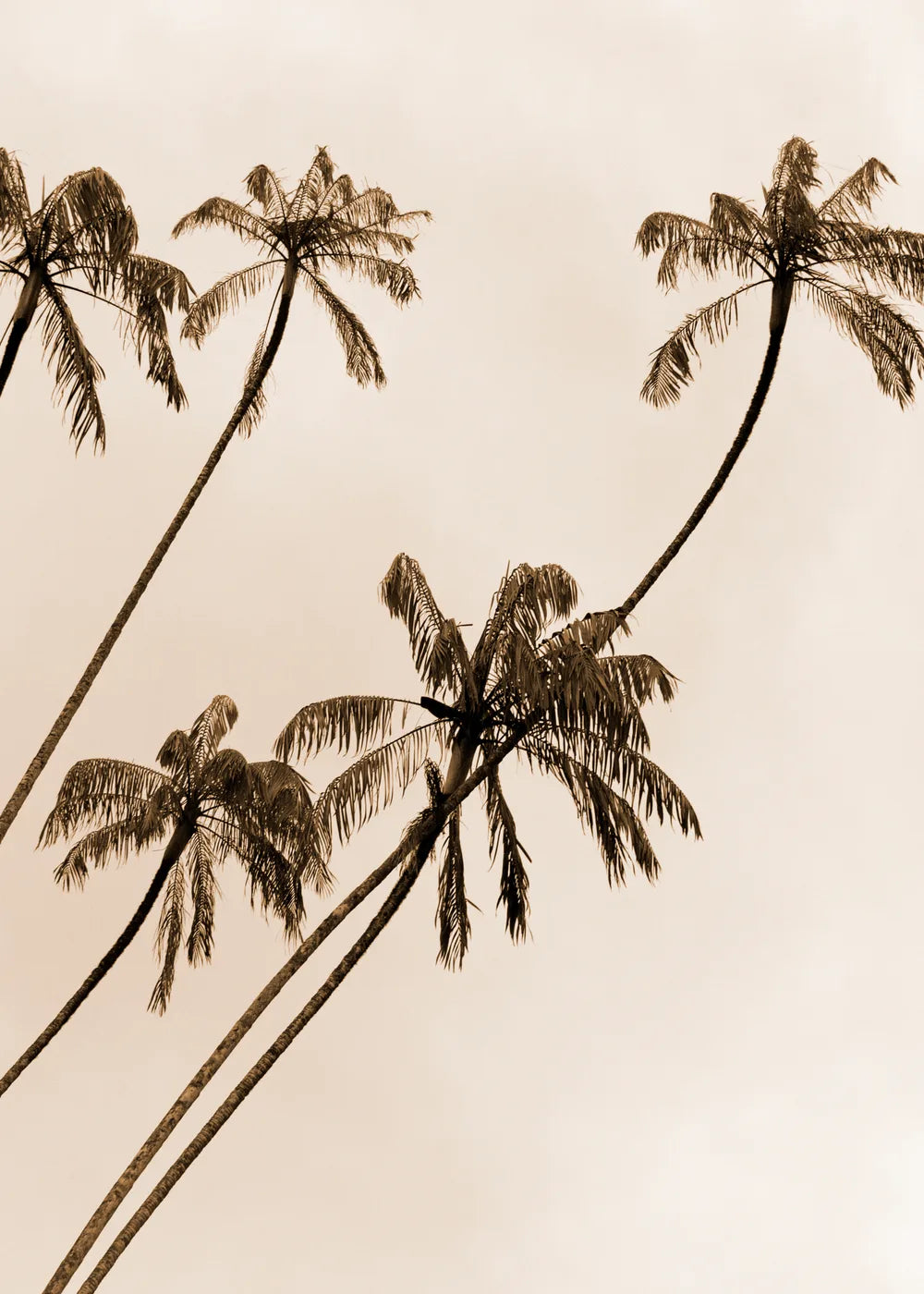 Beach No. 320