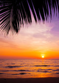Beach No. 342
