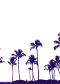 Beach No. 343
