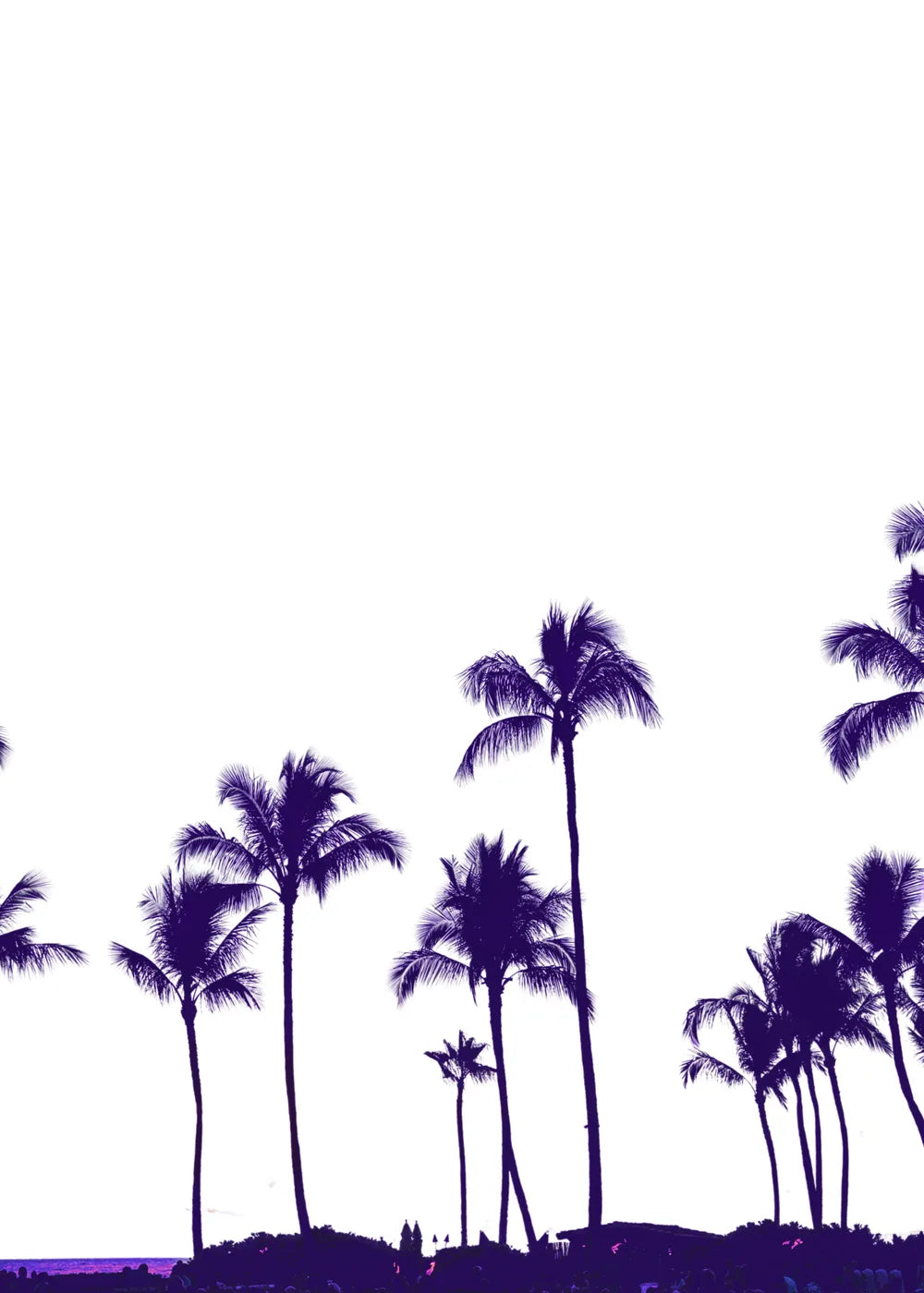 Beach No. 343