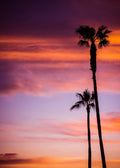 Beach No. 344