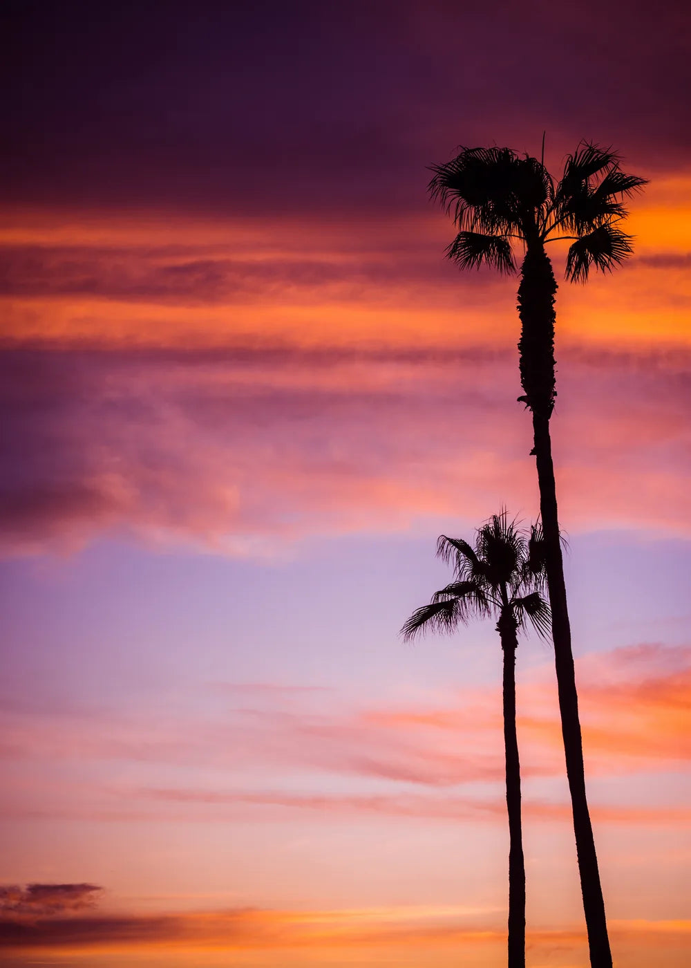 Beach No. 344