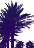 Beach No. 345