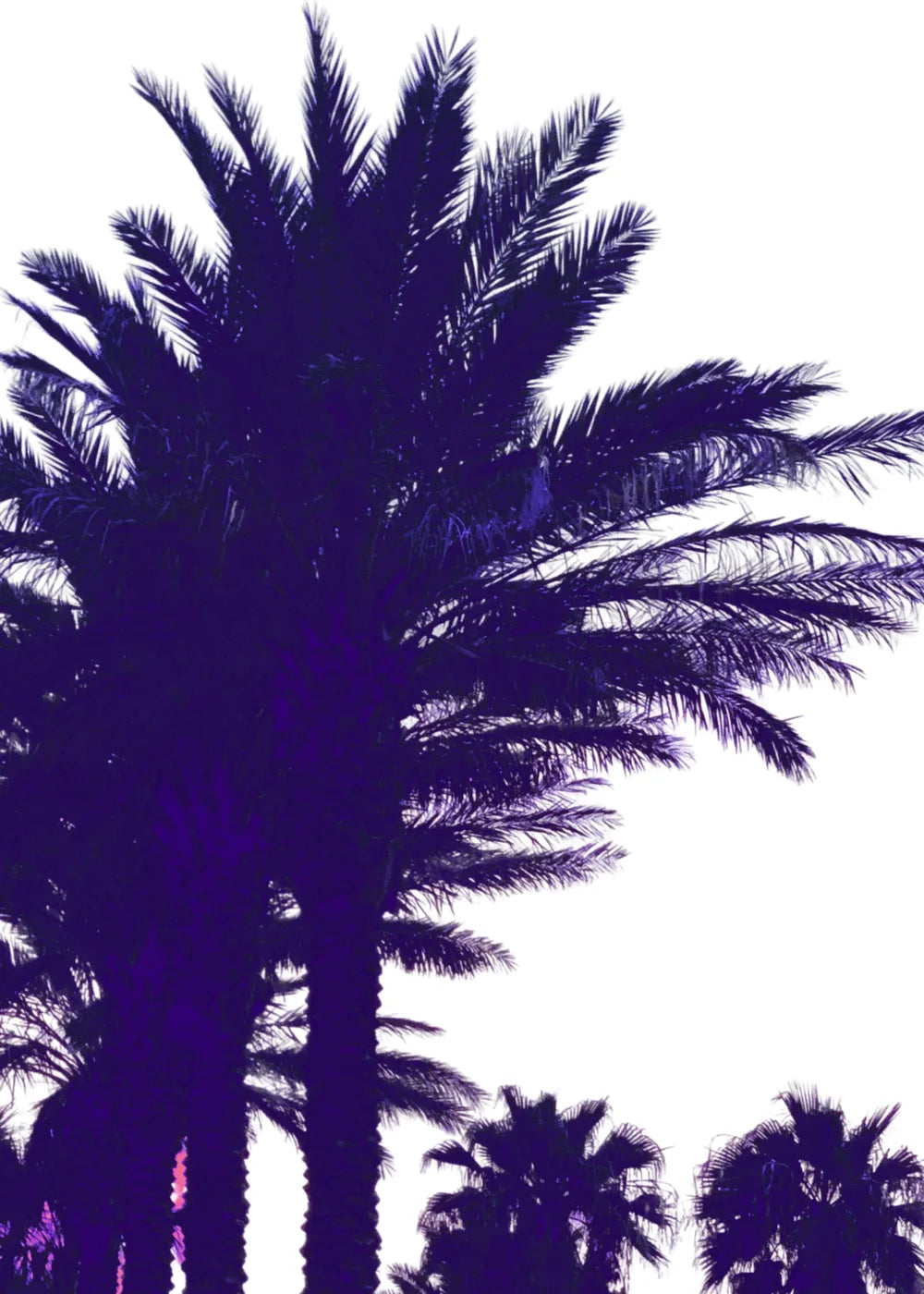 Beach No. 345
