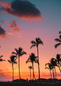 Beach No. 346