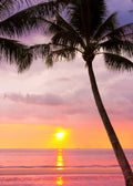 Beach No. 347