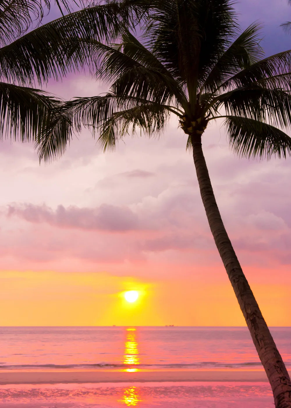 Beach No. 347