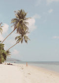 Beach No. 355