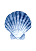 Beach No. 358