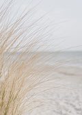 Beach No. 375