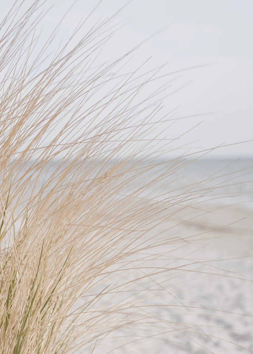 Beach No. 375