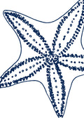 Beach No. 377
