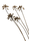 Beach No. 378