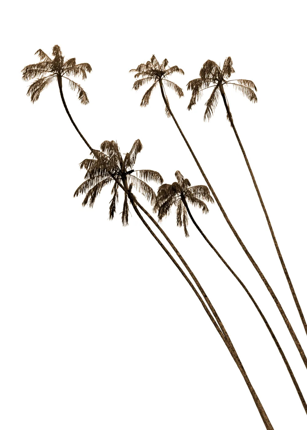 Beach No. 378
