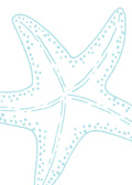 Beach No. 383