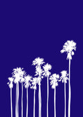 Beach No. 392